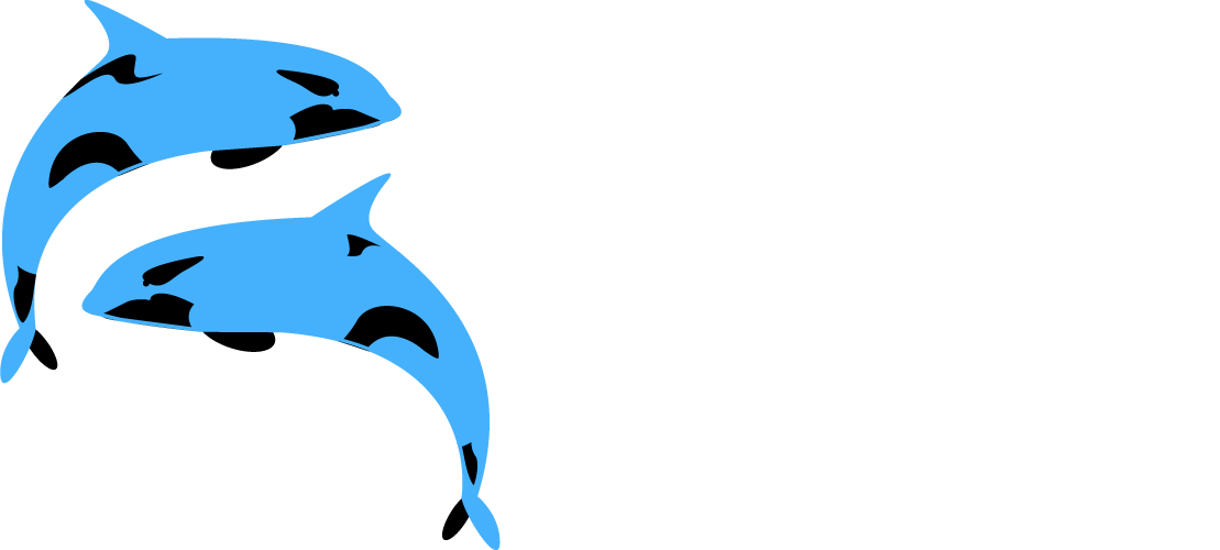 Ecom Orcas logo